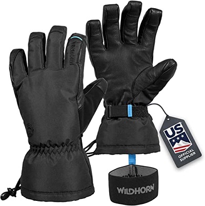 Wildhorn Tolcat Ski Gloves